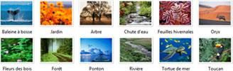 images libres de droit